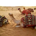 Exciting Activities in Dubai: A Must-Do List